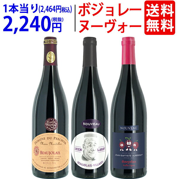 【11月19日(木)解禁日お届け予定】WA 送料無料 2026 ボジョレー ヌーヴォー 3本ワインセット (赤3本) 家族経営のドメ…