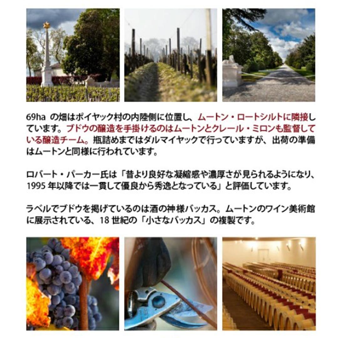 [2023] シャトー ダルマイヤック 750ml (ポイヤック第5級 ボルドー フランス)赤ワイン コク辛口 ワイン ^ABAR0123^ veritas-10064837 ヴェリタス〜輸入直販ワイン専門店 サンプル画像3