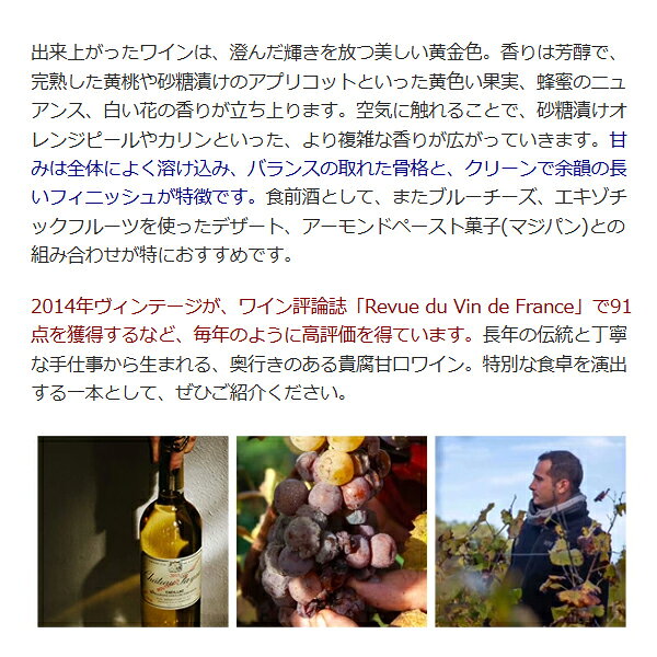 [2014] シャトー ファヨー ハーフ 375ml (AOC カディヤック ボルドー フランス)貴腐 白ワイン コク極甘口 ワイン ^ANFY01G4^ veritas-10064921 ヴェリタス〜輸入直販ワイン専門店 サンプル画像3