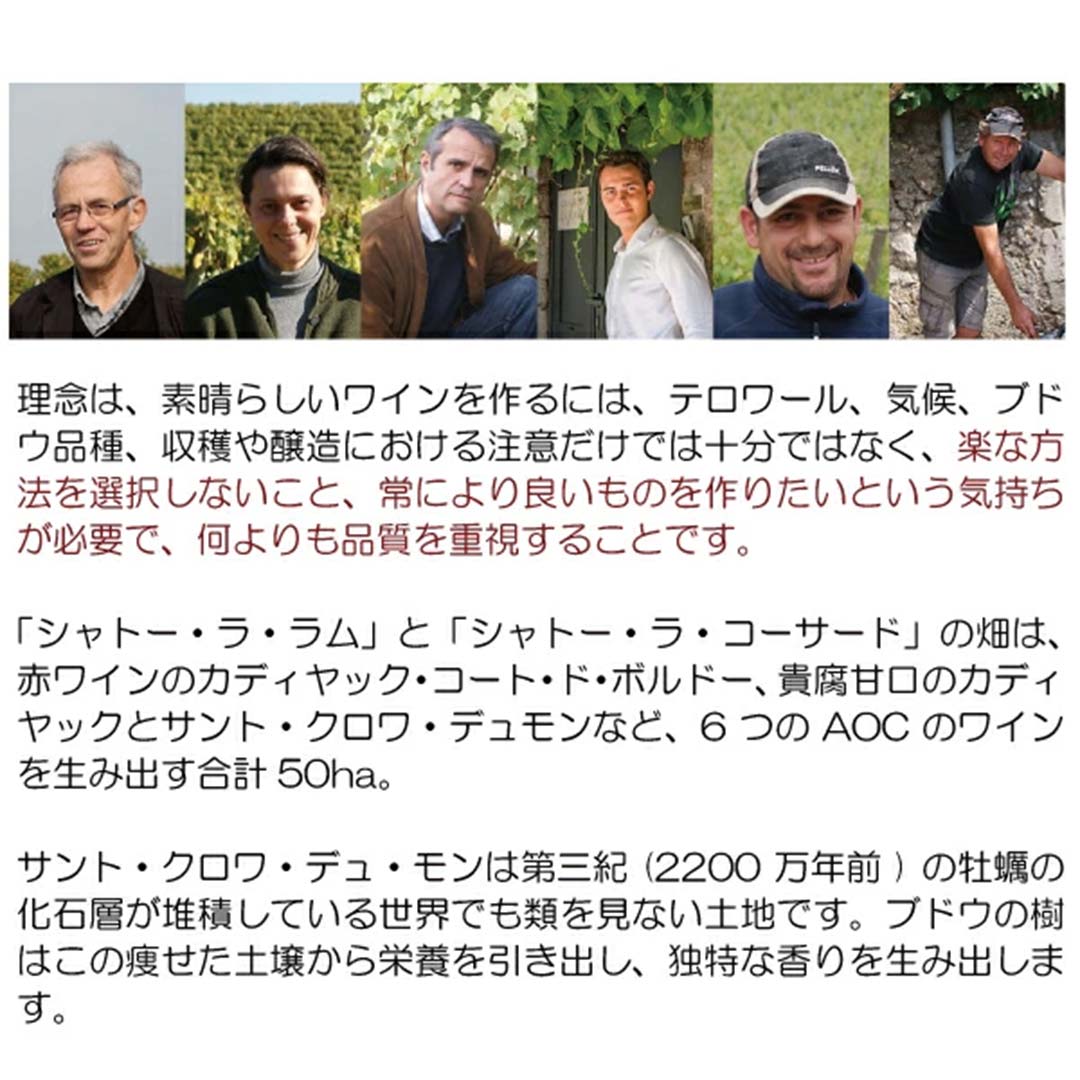 [2022] シャトー ラ ラム グルマンディーズ ハーフ 375ml (AOC サント クロワ デュ モン ボルドー フランス)貴腐 白ワイン コク極甘口 ワイン ^ANRC23GC^ veritas-10064890 ヴェリタス〜輸入直販ワイン専門店 サンプル画像3