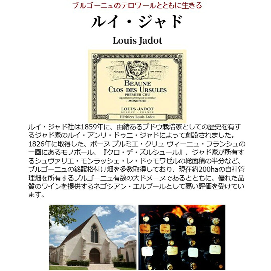 [2023] ブルゴーニュ ルージュ ピノ ノワール ハーフ 375ml ルイ ジャド(ブルゴーニュ フランス)赤ワイン コク辛口 ワイン ^B0JLPNGD^ veritas-10064957 ヴェリタス〜輸入直販ワイン専門店 サンプル画像2