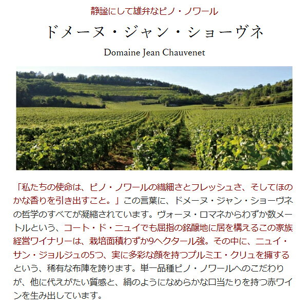 よりどり6本で送料無料[2023] ニュイ サン ジョルジュ プルミエ クリュ レ ヴォークラン 750ml ドメーヌ ジャン ショーヴネ(ブルゴーニュ フランス)赤ワイン コク辛口 ワイン ^B0JUVC23^ veritas-10064498 ヴェリタス〜輸入直販ワイン専門店 サンプル画像2