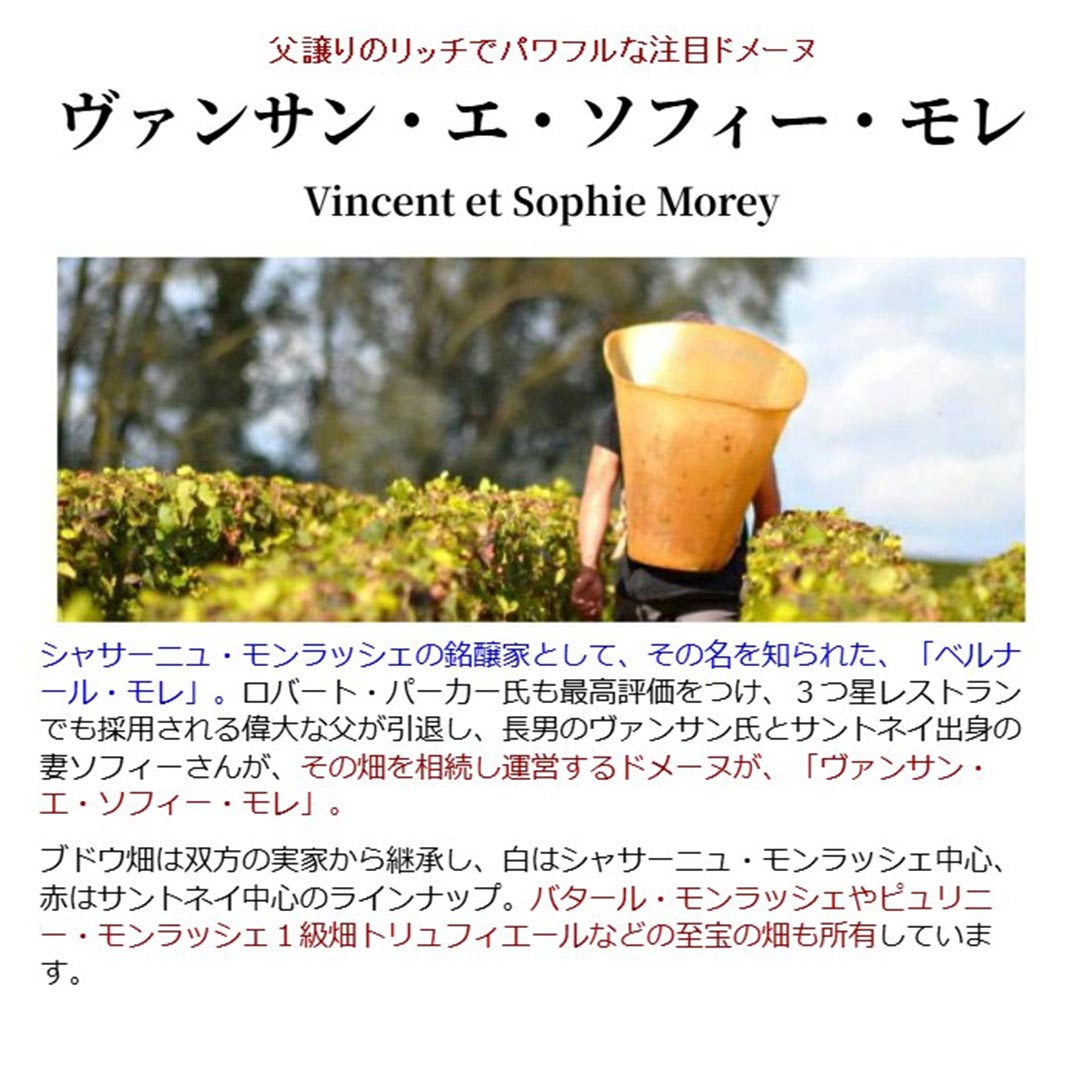 [2021] シャサーニュ モンラッシェ ヴィエイユ ヴィーニュ ルージュ 750ml ヴァンサン エ ソフィー モレ(フランス ブルゴーニュ)赤ワイン コク辛口 ワイン ^B0VMCR21^ veritas-10065272 ヴェリタス〜輸入直販ワイン専門店 サンプル画像2