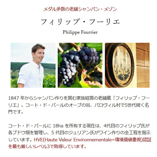 よりどり6本で送料無料 ブラン ド ノワール ブリュット トラディション 750ml フィリップ フーリエ(シャンパン フランス シャンパーニュ)白泡 コク辛口 ワイン ^VAFUTNZ0^ veritas-10064201 ヴェリタス〜輸入直販ワイン専門店 サンプル画像3