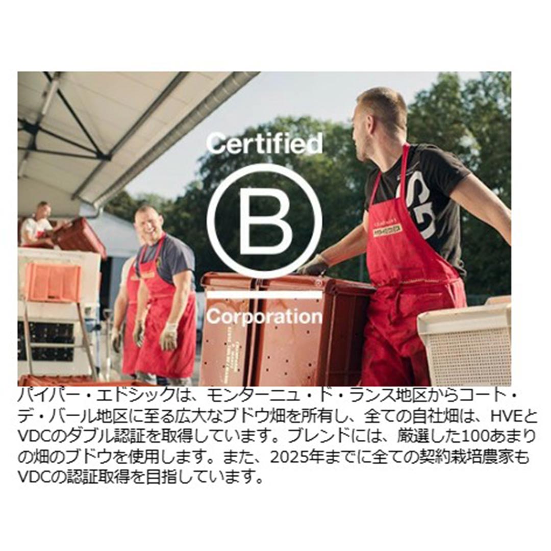 パイパー エドシック ブリュット マリリン モンロー リミテッド エディション 箱なし 正規品 750ml シャンパーニュ 白泡 コク辛口 ワイン ^VAPH52Z0^ veritas-10065026 ヴェリタス〜輸入直販ワイン専門店 サンプル画像3