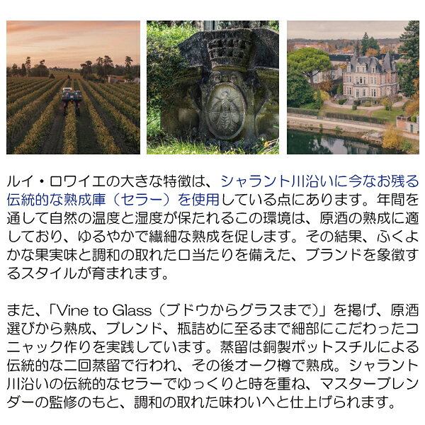 ヴェリタス〜輸入直販ワイン専門店のルイ ロワイエ XO 40度 箱付 正規品 700ml 【ブランデー(コニャック)】 ^YLLRXOJ0^｜アングル3