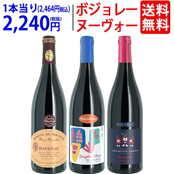 【11月19日(木)解禁日お届け予定】WF 送料無料 2026 ボジョレー ヌーヴォー 3本ワインセット (赤3本) 家族経営のドメーヌもの 航空便 ^W03NG2SE^
