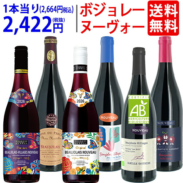 【11月19日(木)解禁日お届け予定】WH 送料無料 2026 ボジョレー ヌーヴォー 6本ワインセット (赤6本) ジョルジュ・デュブッフ＆家族経営のドメーヌもの 航空便 ^W06NG3SE^