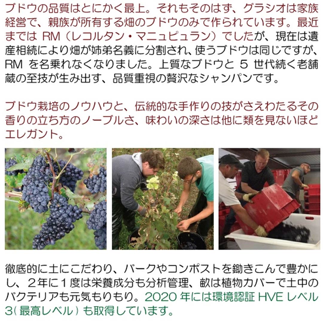よりどり6本で送料無料グラシオ エ シー No.6 ブラン ド ブラン 750ml アルマナック(シャンパン フランス シャンパーニュ)白泡 コク辛口 ^VAGGBBZ0^ veritas-10065439 ヴェリタス〜輸入直販ワイン専門店 サンプル画像3