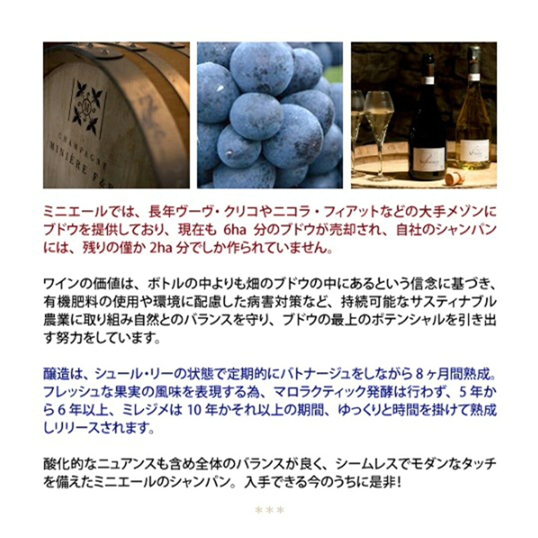 [2019] シャンパーニュ ミニエール レ・ヴォワミサ キュヴェ エクストラ ブリュット ブラン ド ノワール 箱なし 750ml フレデリック＆ロドルフ ミニエール(シャンパン フランス シャンパーニュ)白泡 コク辛口 ^VAMN6619^ veritas-10065395 ヴェリタス〜輸入直販ワイン専門店 サンプル画像3