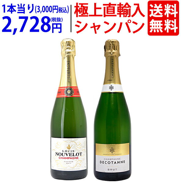 ワイン ワインセット極上直輸入 超豪華シャンパン（フランス シャンパーニュ産）2本セット 送料無料 飲み比べセット ギフト ^W0CF01SE^