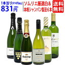 ワイン ワインセットソムリエ厳選白＆本格シャンパン製法入り6本セット 送料無料 (白3本+泡3本) スパークリング 飲み…