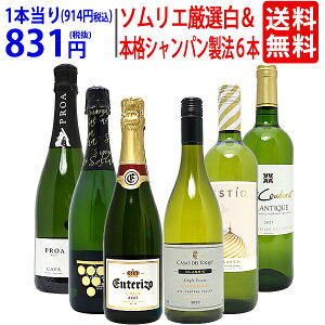 ワイン ワインセットソムリエ厳選白＆本格シャンパン製法入り6本セット 送料無料 (白3本+泡3本) スパークリング 飲み比べセット ギフト ^W0NW75SE^