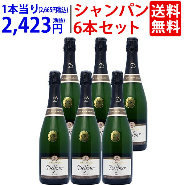 【6本セット 送料無料】シャンパン ブリュット 750ml×6 デルフール シャンパン フランス シャンパーニュ 白泡 コク辛口 ワイン ^VAFUBRKS^