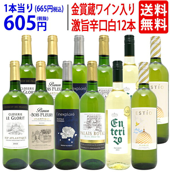 ワイン飲み比べセット ワイン ワインセットワイン誌高評価蔵や金賞蔵ワインも入った辛口白12本セット 送料無料 (6種類各2本) 飲み比べセット ギフト ^W0ZS88SE^