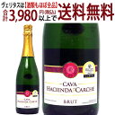 アウトレット 金賞 スパークリングワイン カヴァ ブリュット 瓶汚れ 750ml アシエンダ デル カルチェ白泡 コク辛口 スパークリング ワイン ^VEAC02AA^