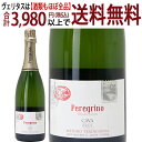 アウトレット カヴァ ペレグリーノ ブリュット ラベル不良 ビン不良 750ml 白泡スパークリングワイン コク辛口 スパークリング ワイン ^VEVU32AA^