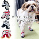 【クーポン利用で20%OFF】ファスナータイプのドッグシューズ 犬 ペット ドッグ ラバーシューズ ペットシューズ メッシュ ノーマル ゴム底 靴 シューズ お...