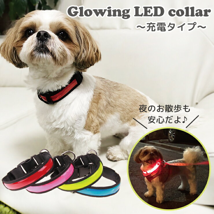 メール便送料無料 光る LED首輪 ☆ バックルタイプ 充電式 USB 夜間 お散歩 犬 猫 LED 安心 安全 簡単 事故防止 光る首輪 首輪 充電ケーブル付き エミリーノ emilino