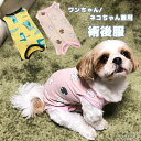 ワンちゃんネコちゃん兼用 術後ウェア 術後服 術後着 介護ウェア 介護服 ウェア ペット 犬 猫 傷口保護 避妊 去勢 皮膚病 四脚 簡単着脱 傷舐め防止 エミ...