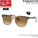 レイバン サングラス 偏光レンズ RayBan EAGLEEYE フレーム/HAVANA ON TRANSPARENT BROWN レンズ/GRADIENT BROWN POLAR アジアンフィット(4)
