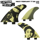 CAPTAIN FIN LvetB MIKEY FEBRUARY TT BK 4.65 gCtB FCStB }CL[EtFu[