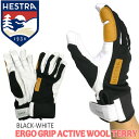 XL[ Xm[{[h  23-24 HESTRA wXg ERGO GRIP ACTIVE WOOL GSObvANeBuE[ 23-24-GR-HES nCN CgEGCg E[ ō̕tSn-