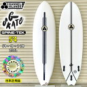 \ T[t{[h `lACY AbN G SKATE 5f4 SPINETEK FCS2 TRI FIN W[EXP[g XpCebN {Ki