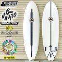 torq surfboard トルク サーフボード TET CS Color Design MOD FUN 7'6 [MiamiBlue Raill] ファンボード エポキシボード [営業所止め送料無料]