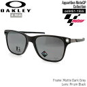 オークリーサングラス オークリー アパリション OAKLEY APPARITION サングラス フレーム：Matte Dark Grey レンズ：Prizm Black