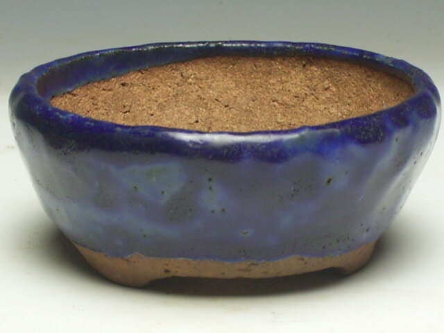 楽天市場】平安東福寺の通販