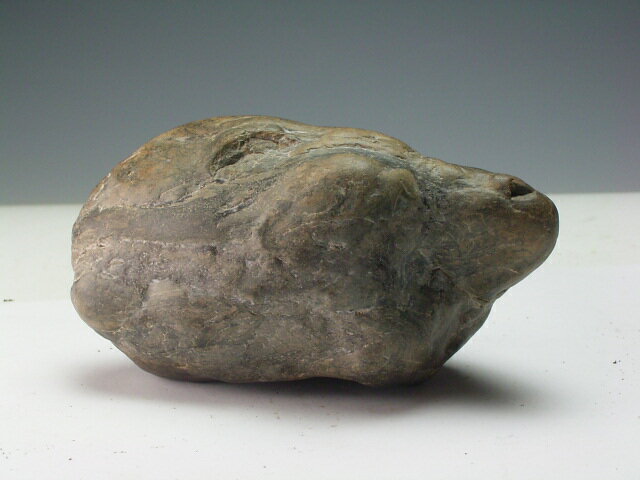 �ڥ����ȥ�åȡۻ�������������