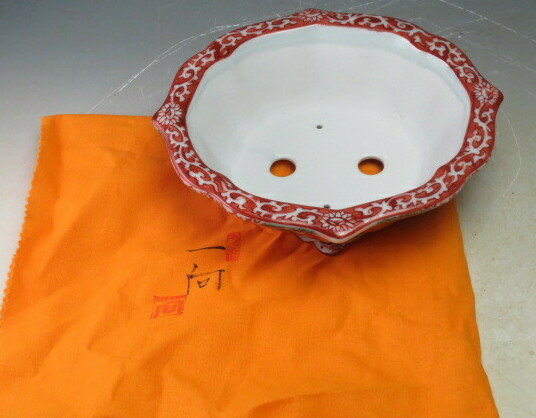 ��ë������������ڱ��ߺ�ȭ�ʶ�Ȣ�������դ��ˡ�������Բġ�