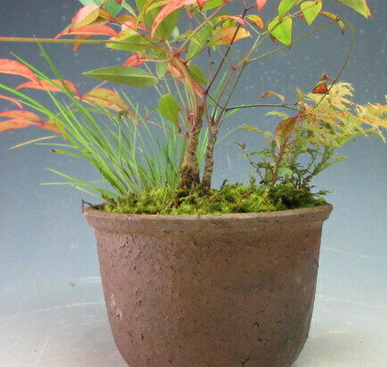 ��ŷ��ȭ����