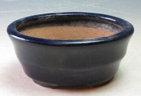 服部知幸　3.5寸瑠璃釉胴紐小判盆栽鉢（深）