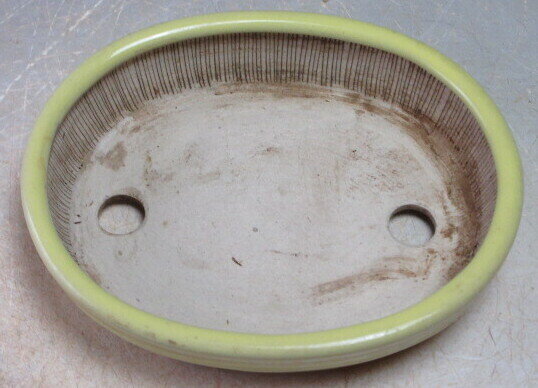 青香　黄釉小判盆栽鉢