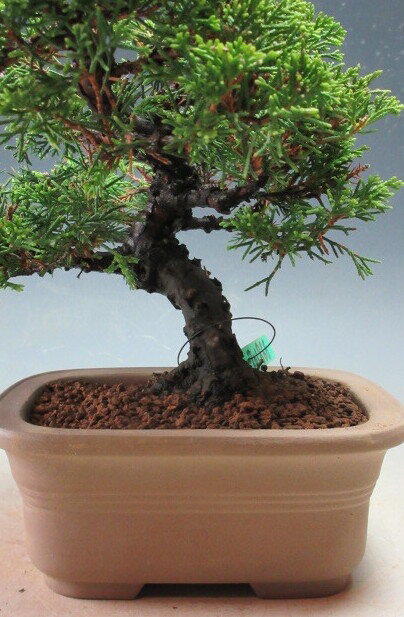 �ߺϡ�������ڸ��ʡ�