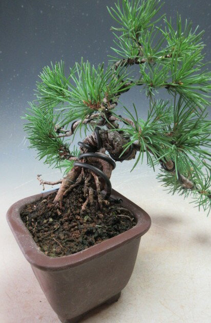 �ߺϡ�����ʡ����վ��κ��夬���ߺϡ������ڸ��ʡ�