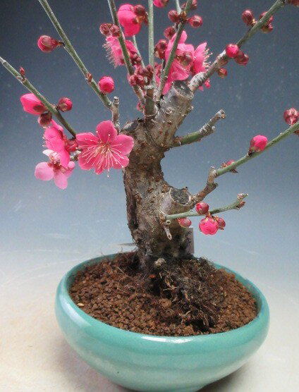 ���ߺϡ��ֲ��դ�������Ļ(ǻ�Ȳ֡���ź餭�ˡڸ��ʡ�2026�ճ�����