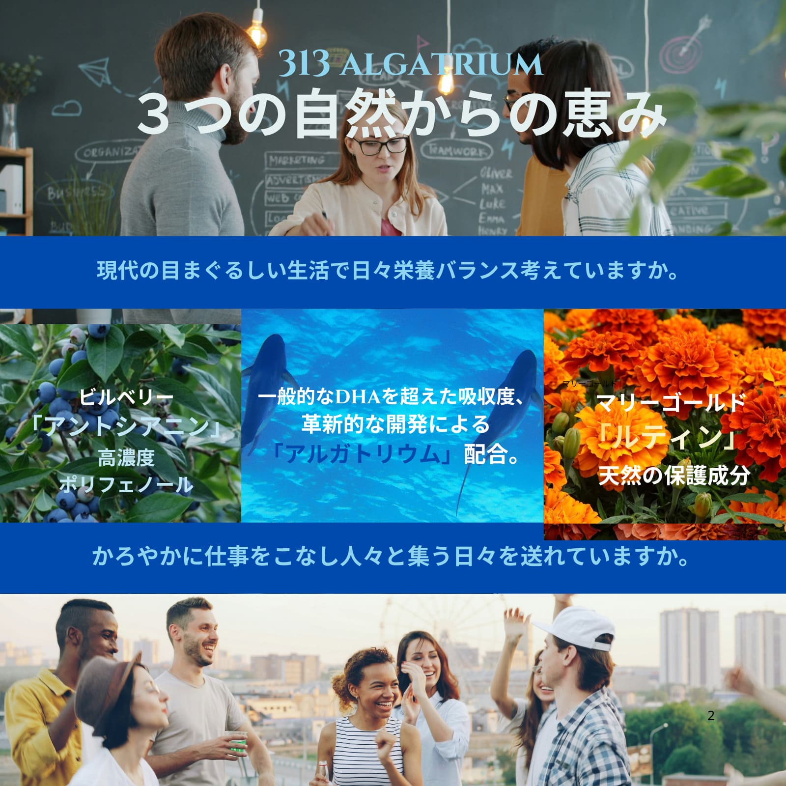 ヴェルトゥー 公式ショップの313 アルガトリウム 90粒 サプリメント Algatrium DHA EPA　活性型DHA EPA 100% 天然成分 オメガ369 フィッシュオイル 魚油. ビルベリー アントシアニン マリーゴールド ルティン 眼精疲労 スペイン産 313 ALGATRIUM サプリ 健康補助食品｜アングル3