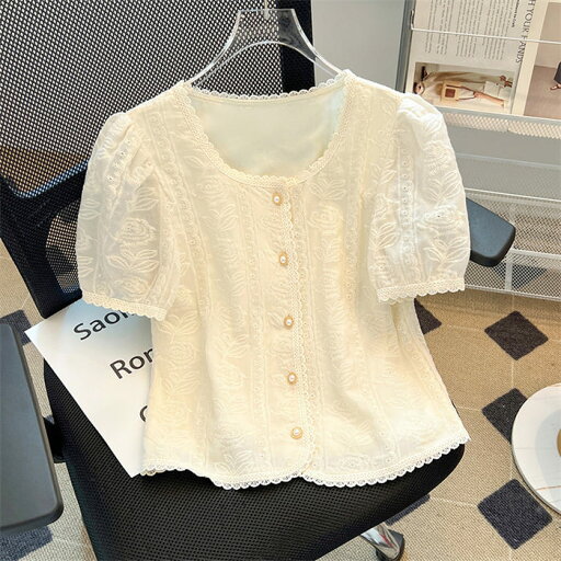 レースシャツ レディース 半袖シャツ 夏 夏服 Tシャツ 花柄 刺繍 レース 半袖 パフスリーブ Uネック tシャツ ショート丈 トップス 薄手 涼しい 柔らかい 大人可愛い きれいめ 着痩せ 体型カバー カジュアル ファッション おしゃれ オフィス ビジネス 通勤 通学 日常 普段着 レースシャツ レディース 半袖シャツ 夏 夏服 Tシャツ 花柄 刺繍 レース 半袖 パフスリーブ Uネック tシャツ ショート丈 トップス 薄手 涼しい 柔らかい 大人可愛い きれいめ 着痩せ 体型カバー カジュアル ファッション おしゃれ オフィス ビジネス 通勤 通学 日常 普段着