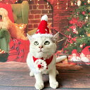 2点セット ペット クリスマス 首輪 猫 犬 首輪 ニット マフラー 猫用 小型犬 子犬 可愛い プレゼント 写真撮影 ねこ かわいい おしゃれ マント 犬用 よだれかけ SNS映え ペットウェア ドッグウェア キャットウェア サイズ調節可能 サンタ 帽子