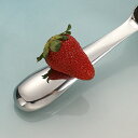 スプーン アイス 【】アイスクリームスクープ アイスクリーム 耐腐食性 【】アイスクリームスクープ ステンレス ディッシャー 耐久性 深め オールステンレス 幅広 スクープ 洗いやすい サビにくい 丸く