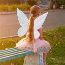 天使の羽 子供 天使の羽根 蝶 コスプレ 天使の翼 かわいい 蝶の羽 コスチューム 精霊コスプレ 蝶々 変身 イベント 変装 演出 仮装 クリスマス ハロウィン...