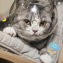 猫 口輪 猫宇宙ヘッドギア口輪口輪 可愛しつけ用口輪 猫用マズル 通気性 猫 爪切り補助用 猫用エリザベスカラーペット用品噛みつき防止拾い食い 噛みつき家具破壊防止 診察ペット用品