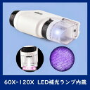 【 】 120Xの拡大倍率 60X 倍率切り替え可能 知恵玩具 科学実験 小学生 子供用 LED顕微鏡 初心者 高性能 子供 携帯型顕微鏡 顕微鏡