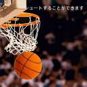 ボール 室内 バスケットボール 高密度フォームボール 静音 ボール遊び 柔らかい ボール ストレス発散 室内遊び 騒音防止 衝撃吸収 自宅 室内 練習用 大人 子供兼用 室内バスケット アウトドア 子ども 軽量 玩具 誕生日 プレゼント 洗濯可能 3号/5号/7号