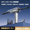 【ブラシレスモーター】 ハンディクリーナー 車用掃除機 超強モード16000 pa強力モード13000 Pa強力吸引力 多機能 小型【吹き飛ぶ/吸い込む/空気入れ/空気抜き】ハンディ掃除機パワフル 新型ドローンと同じブラシレスモーターを採用し