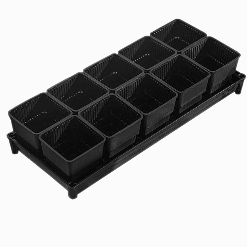 育苗ポット トレー 育苗トレー 育苗 セット 苗箱 育苗箱 種まきハウス 種まきハウス 種子トレイ 栽培ポ..