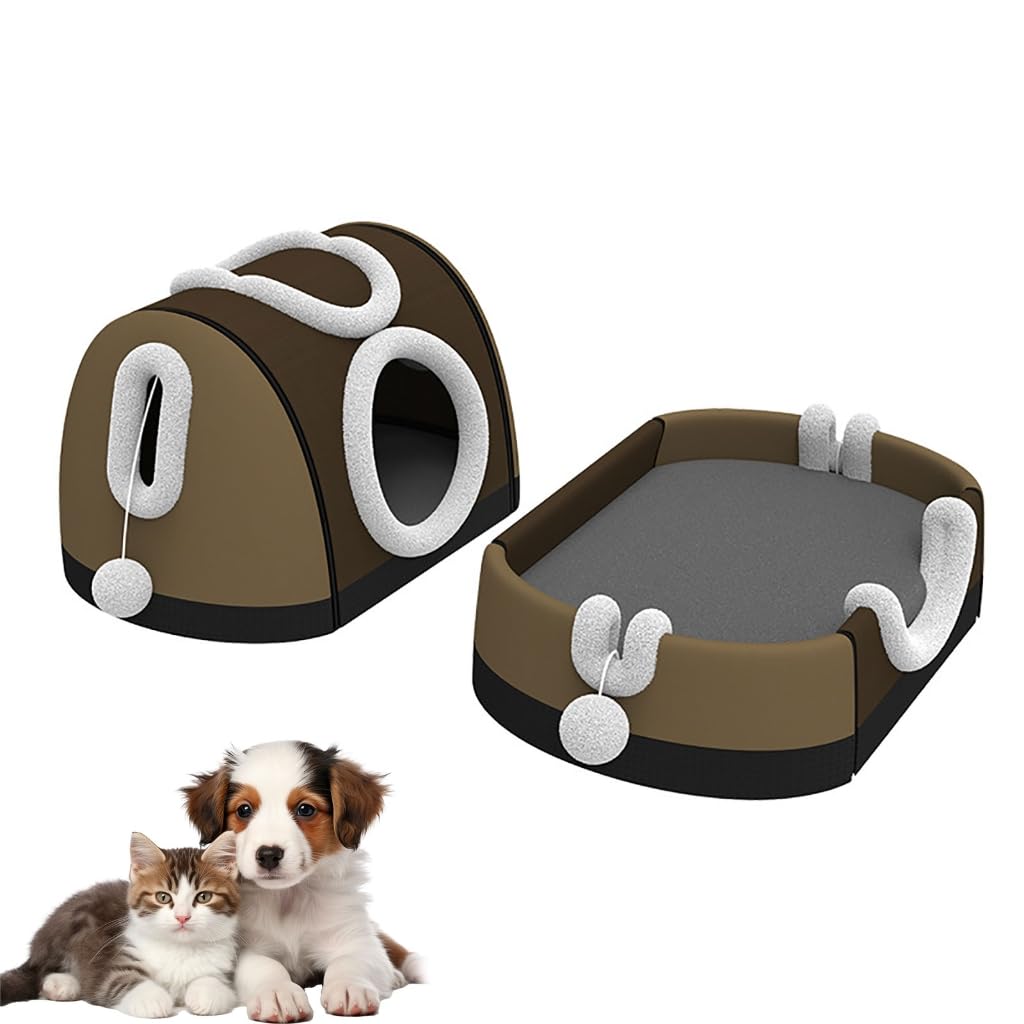 ³Ūʽ˶ǭϥ 2 ʬ곰ǽʲߤ١ǯŬ